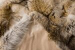 Coyote (CD Colour) Fur Blanket