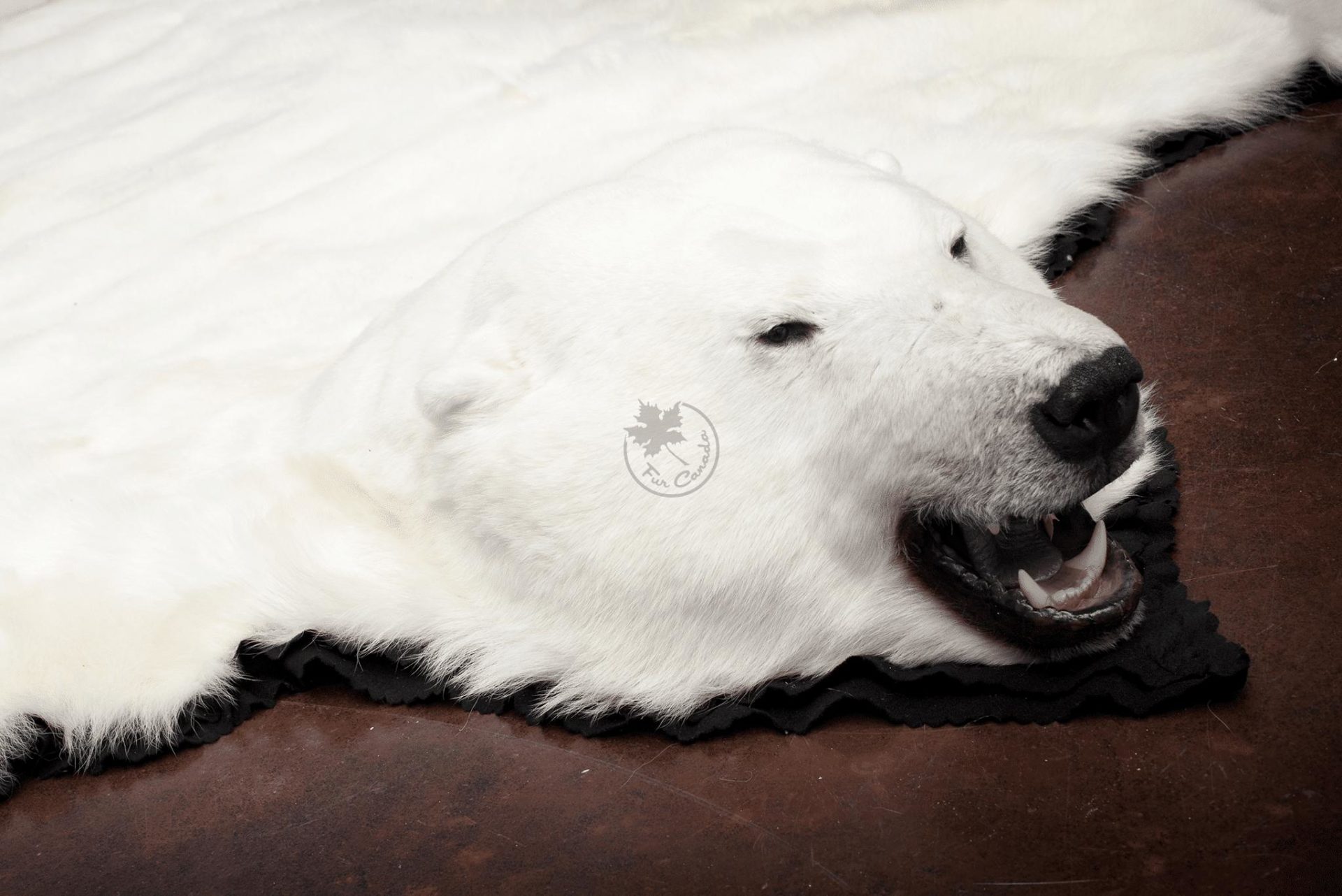 Polar Bear Skin Rugs Furcanada, Faux Fur Bear Skin Rug With Head