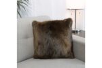 Beaver Pillow