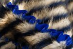 American Raccoon Blanket - Waves